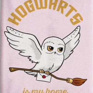 Harry Potter Hedvig coral fleece takaró 110x150cm