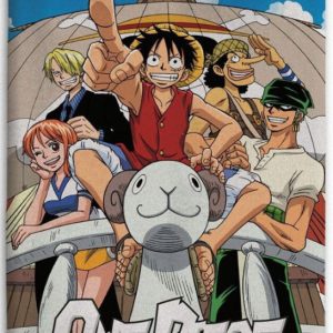 One Piece The Going Merry coral fleece takaró 110x150cm