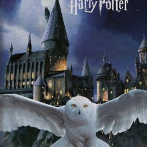 Harry Potter Roxfort polár takaró 100x140cm