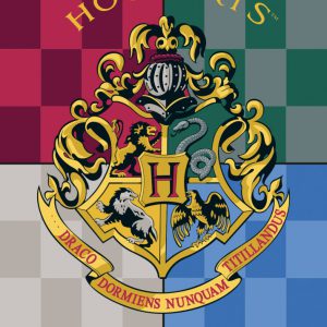 Harry Potter Heritage polár takaró 100x140cm