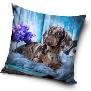 Kutyás Dachshund párnahuzat 40x40 cm