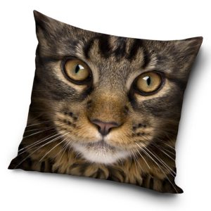 Cicás Golden Gaze párnahuzat 40x40 cm