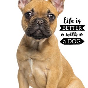 Kutyás Friend kéztörlő arctörlő, törölköző 30x50cm