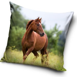 Lovas Freedom párnahuzat 40x40 cm Velúr