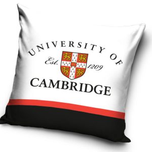 Cambridge University párnahuzat 40x40 cm