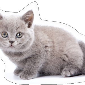 Cicás Ash formapárna, díszpárna 40x29 cm