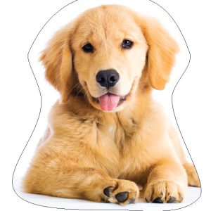 Kutyás Golden Retriver formapárna, díszpárna 35x35 cm