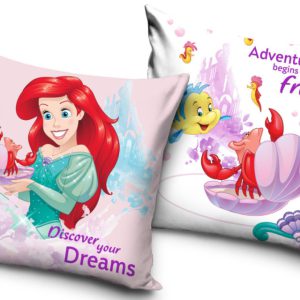 Disney Hercegnők Discover párnahuzat 40x40 cm Velúr