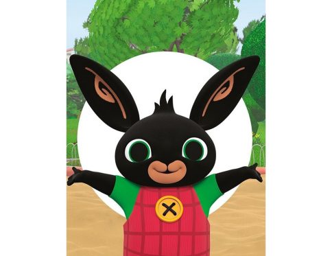 Bing Look kéztörlő, arctörlő, törölköző 30×50 cm