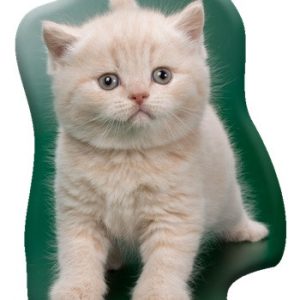 Cicás Creamy Whiskers formapárna, díszpárna 40x32 cm Velúr