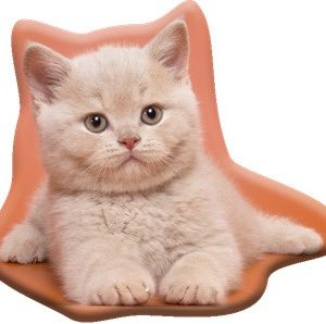 Cicás Fluffy formapárna, díszpárna 38x33 cm Velúr