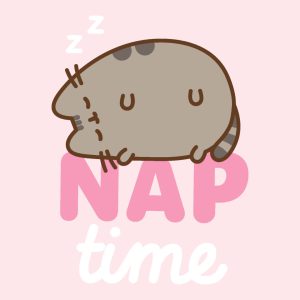 Pusheen Nap Time flanel polár takaró 130x160cm