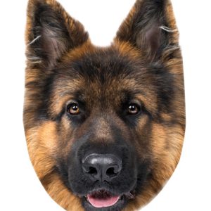 Kutyás German Shepherd formapárna, díszpárna 32x36 cm