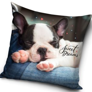 Kutyás Dreams párna, díszpárna 40x40 cm
