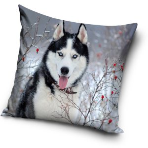 Kutyás Husky párna, díszpárna 40x40 cm