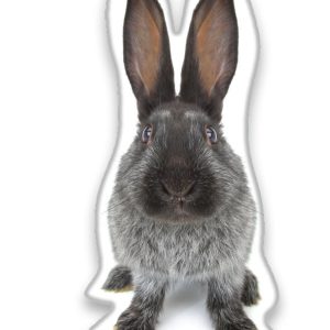 Nyuszis Grey formapárna, díszpárna 22x36 cm