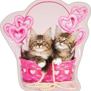 Cicás Basket formapárna, díszpárna 35x40 cm