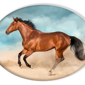 Lovas Brown formapárna, díszpárna 40x30 cm