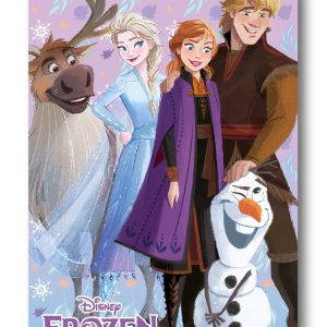 Disney Jégvarázs Winter Friends polár takaró 100x140cm