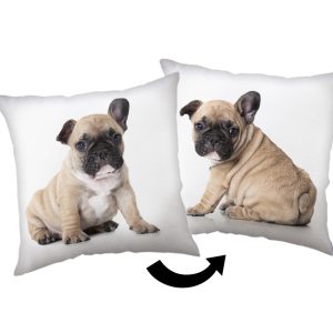 Kutyás Bulldog párna, díszpárna 40x40 cm