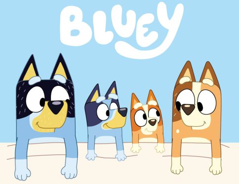 Bluey Cozy kéztörlő, arctörlő, törölköző 30x30cm