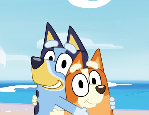 Bluey Cozy kéztörlő, arctörlő, törölköző 30x50cm